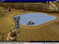 RuneScape Vex 012.JPG