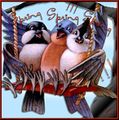 Thumbnail for version as of 01:57, 18 February 2018