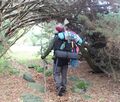 How to be a RL adventurer - Canopy.jpg